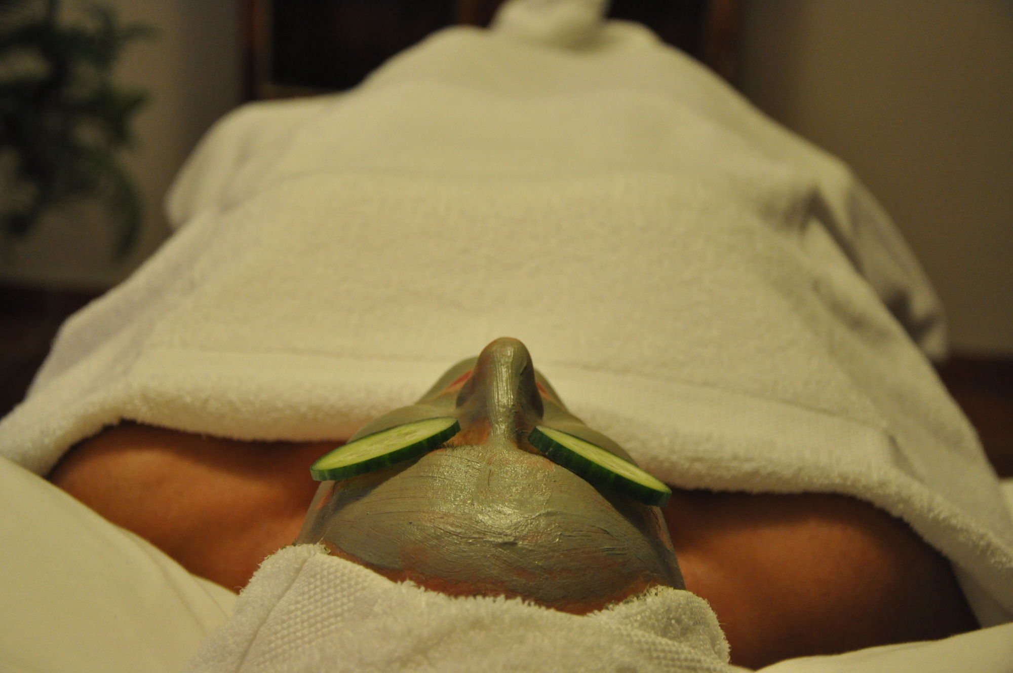 Фото Hotel Continental Relax & SPA