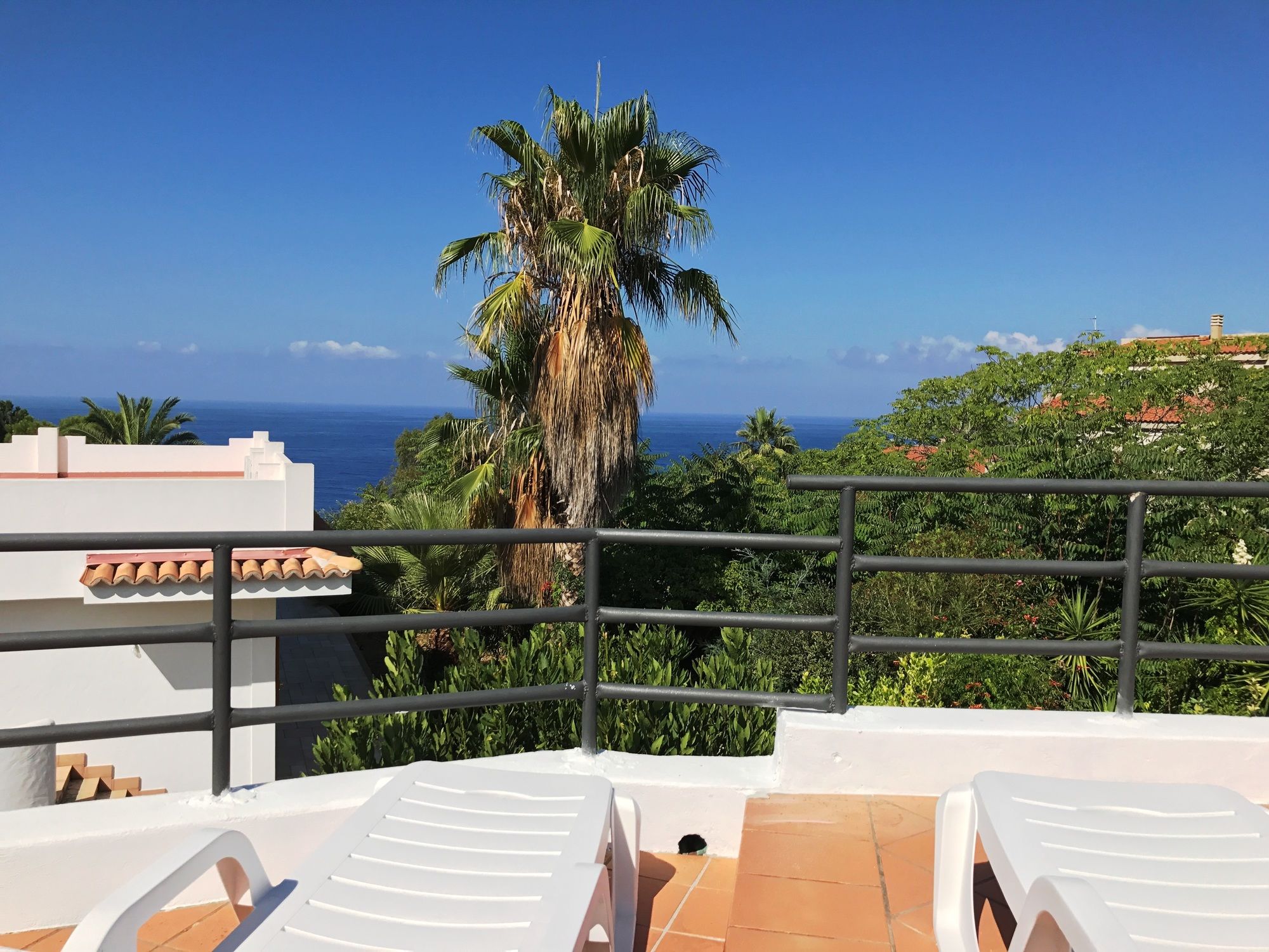 Фото Hotel Village Eden