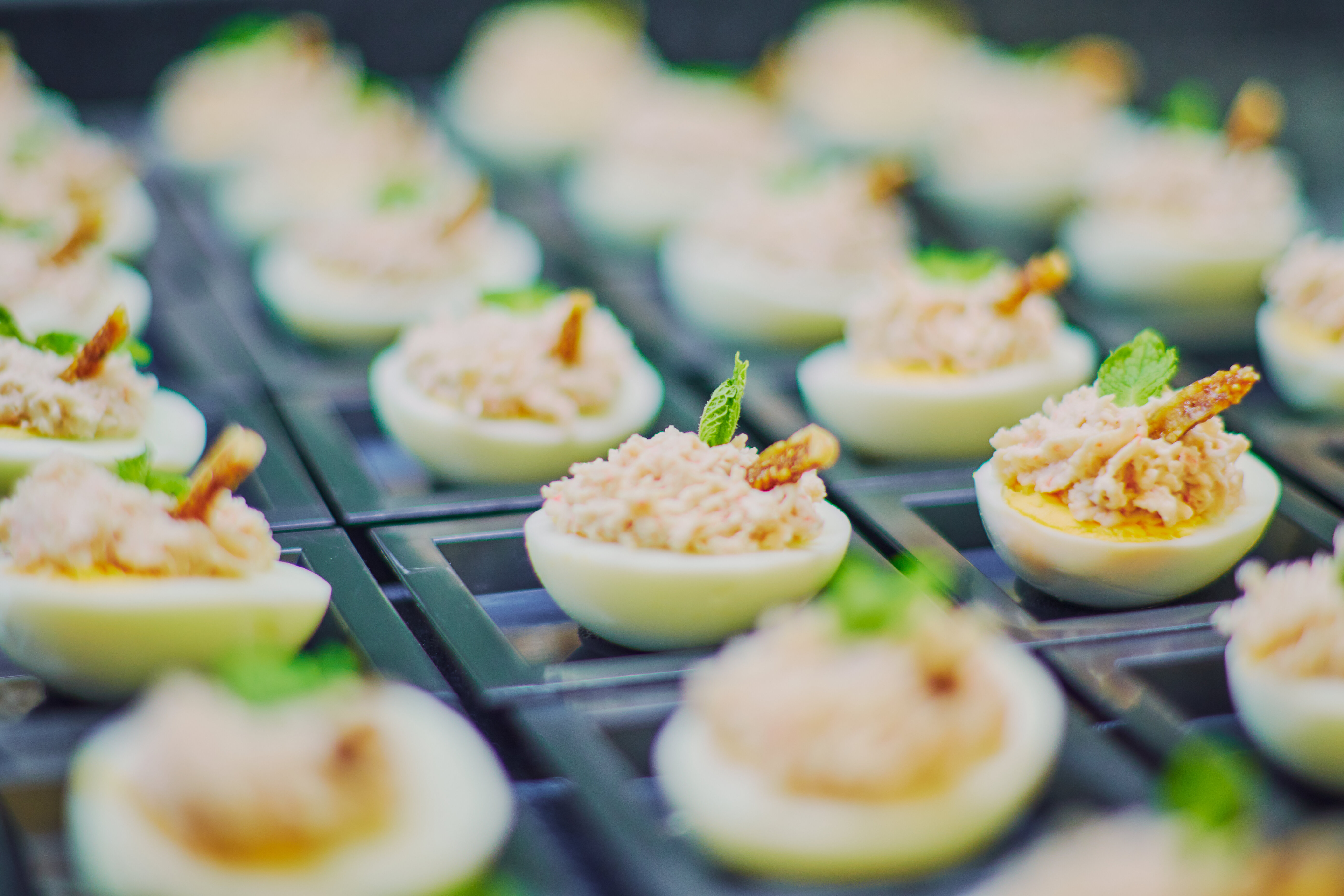 Фото Gloria Izaro Club Hotel