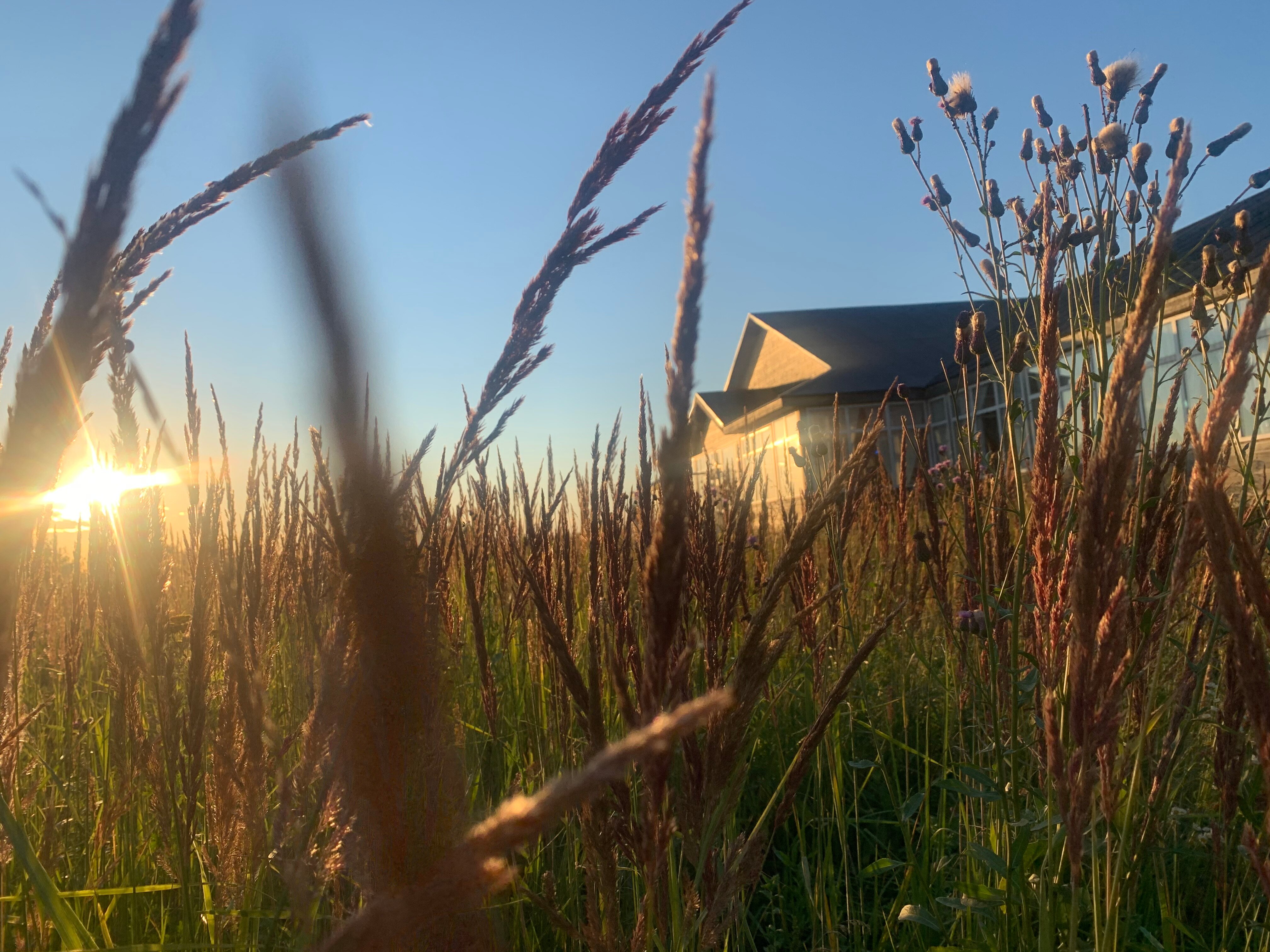 Фото Живые родники