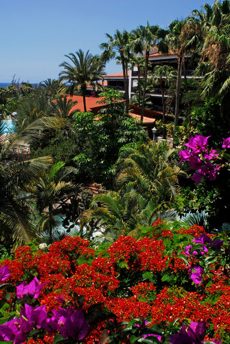 Гостиница Hotel Parque Tropical