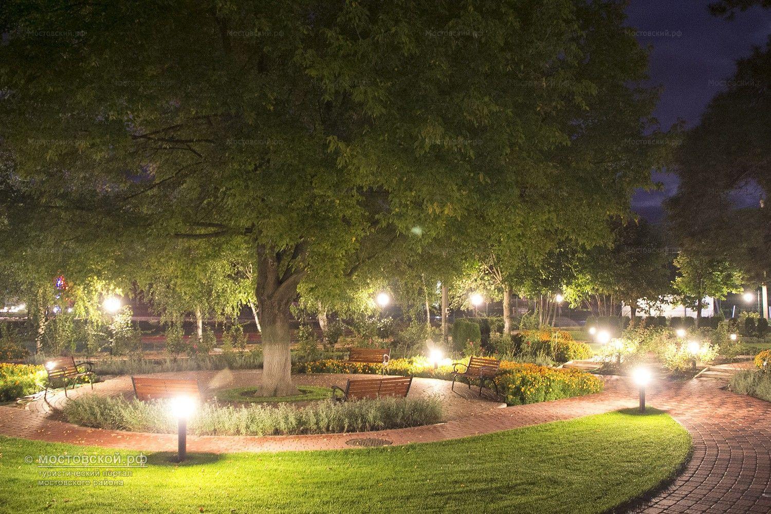 Фото Березки