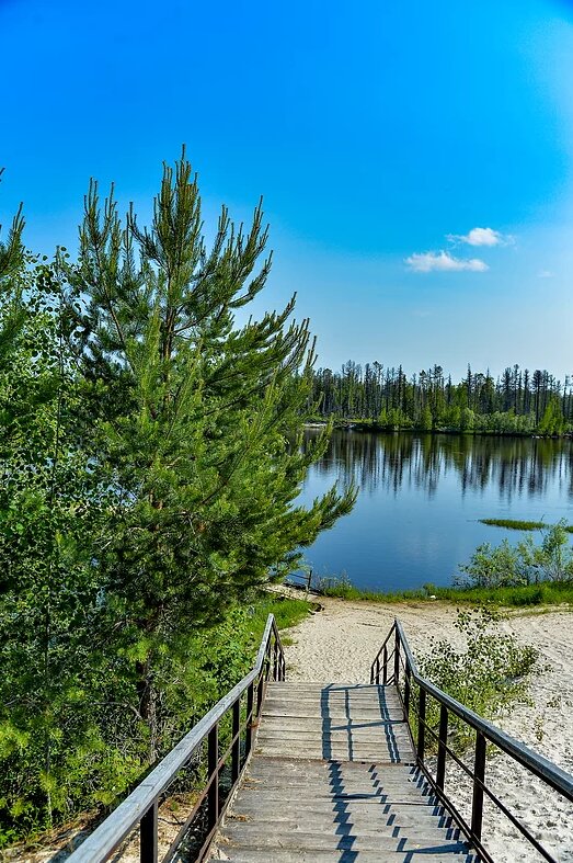 Фото Таёжная