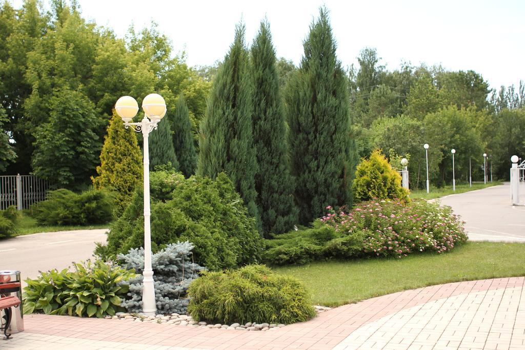 Фото Эмеральд