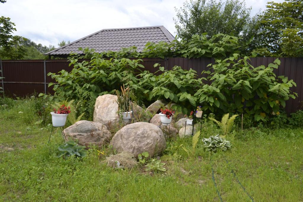 Фото Комфорт