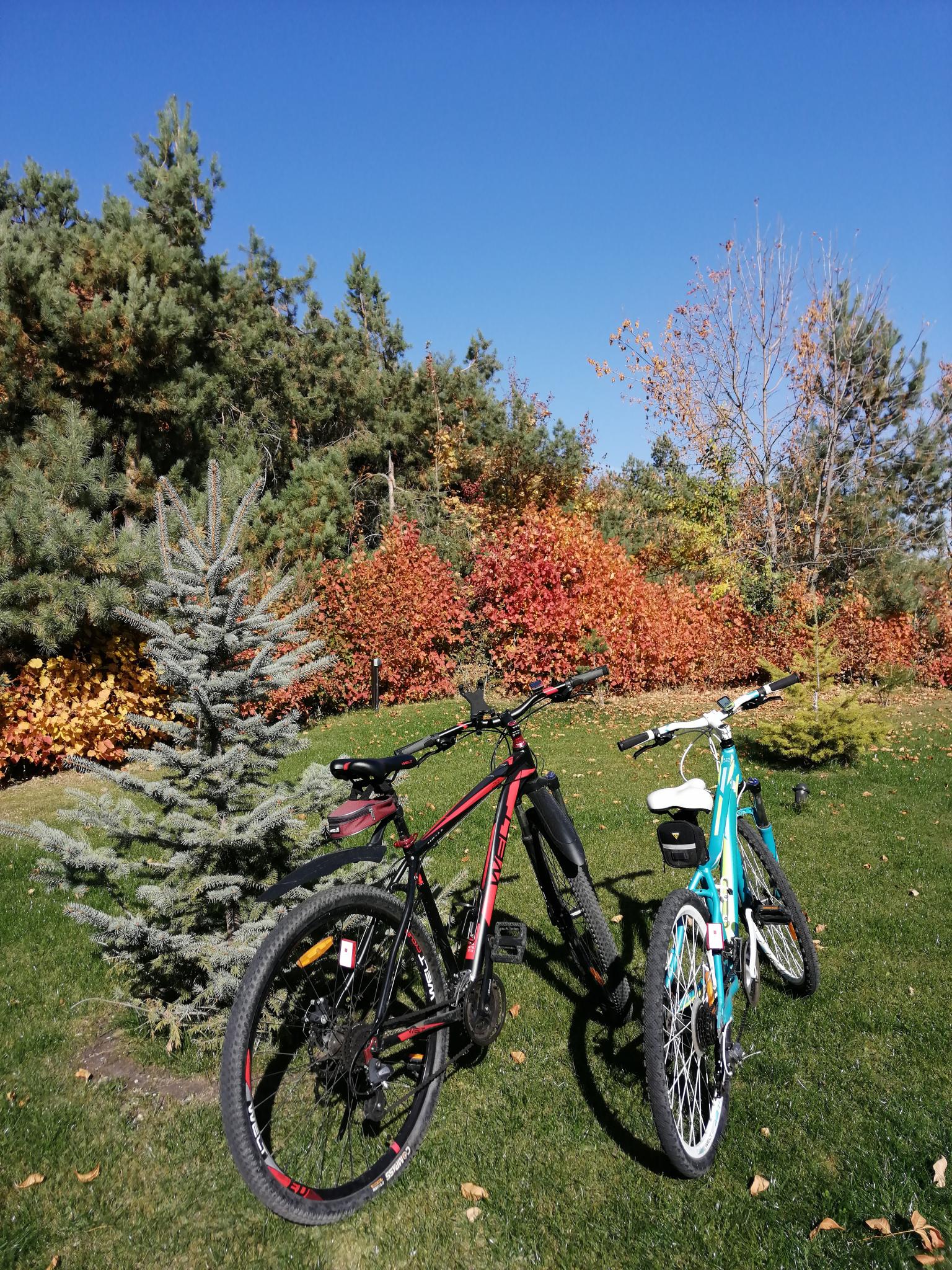 Фото Eco Forrest Club SPA