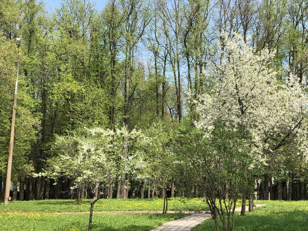 Фото Дом творчества имени Д. Н. Кардовского