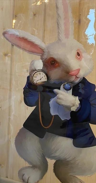 Фото Белый Кролик