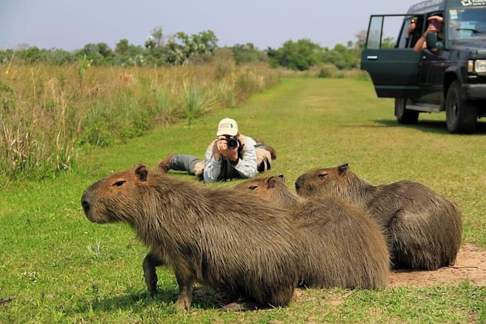 Фото Wild Wetlands Lodge