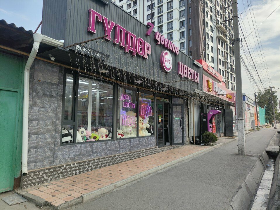 Flower shop 7 colors, Osh, photo