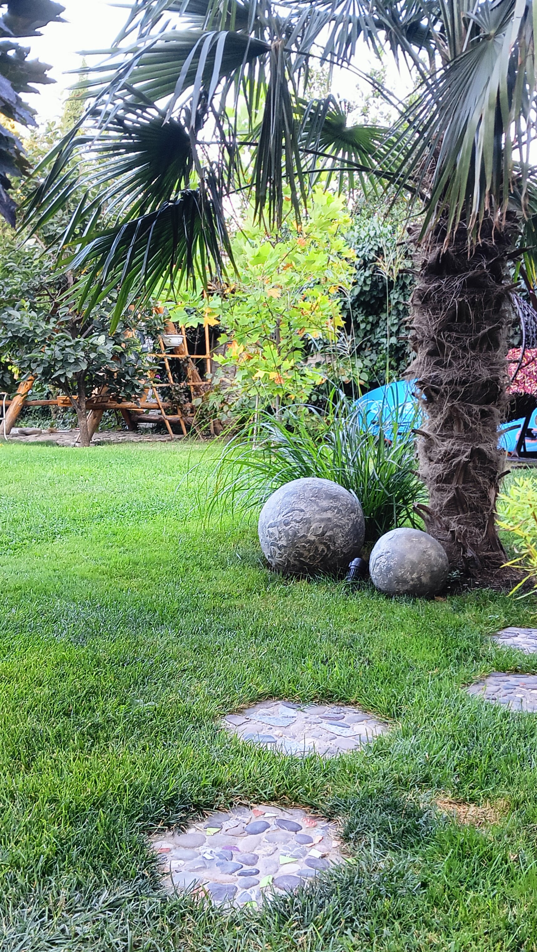 Фото Витязь