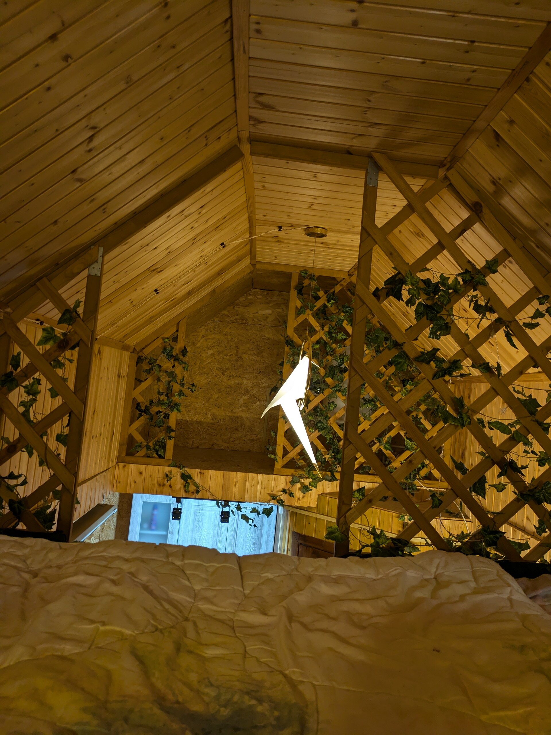 Фото Чилли на вилли