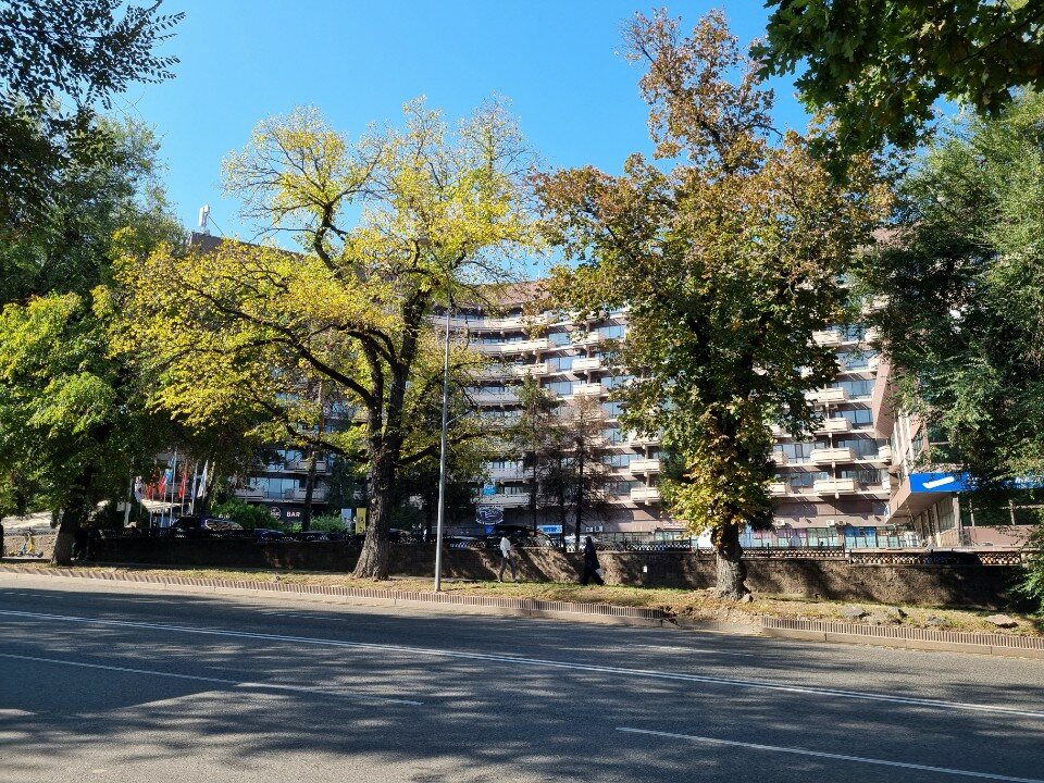 Фото Премьер Алатау