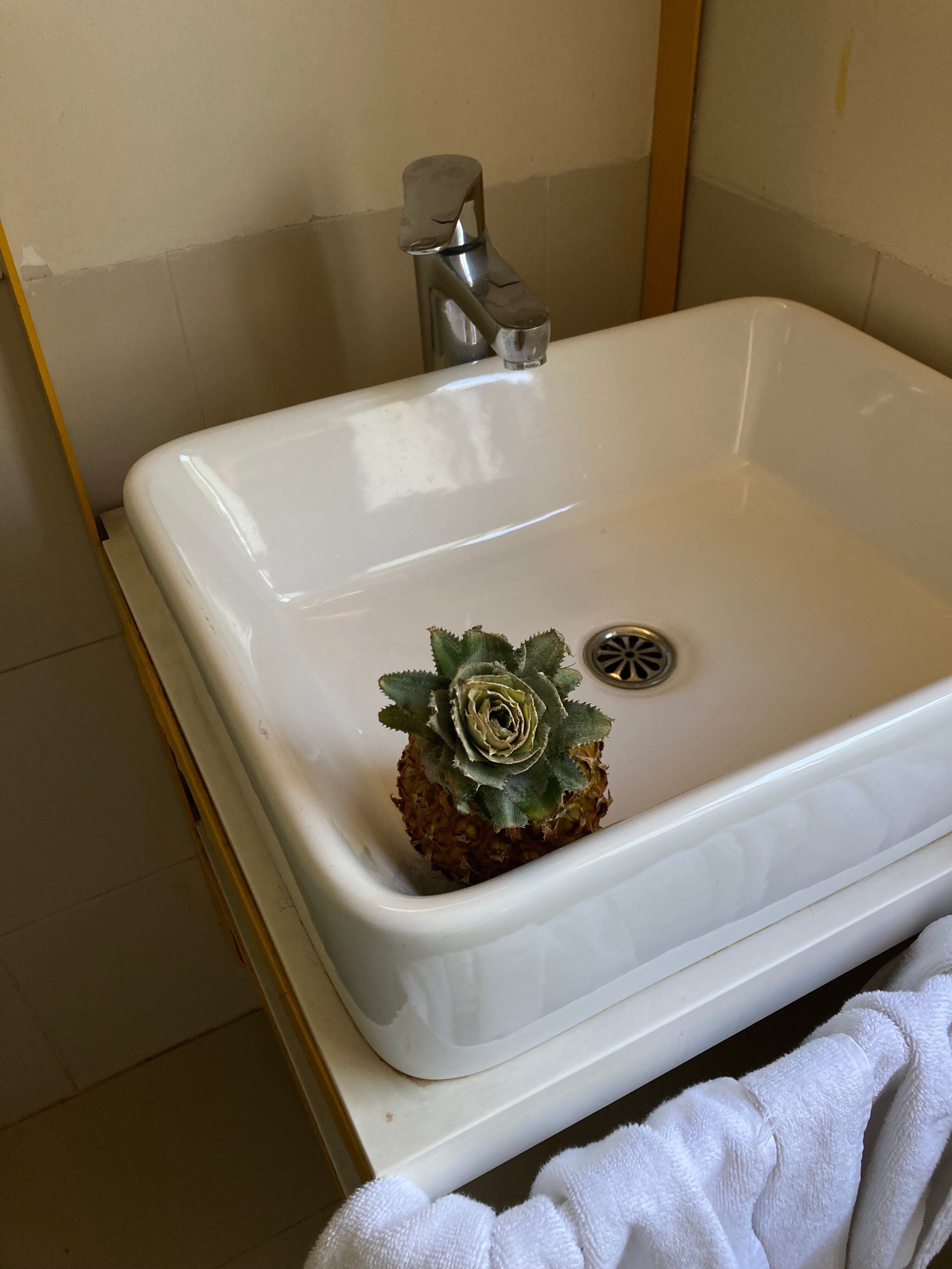 Фото Bloomrooms @ Link Road