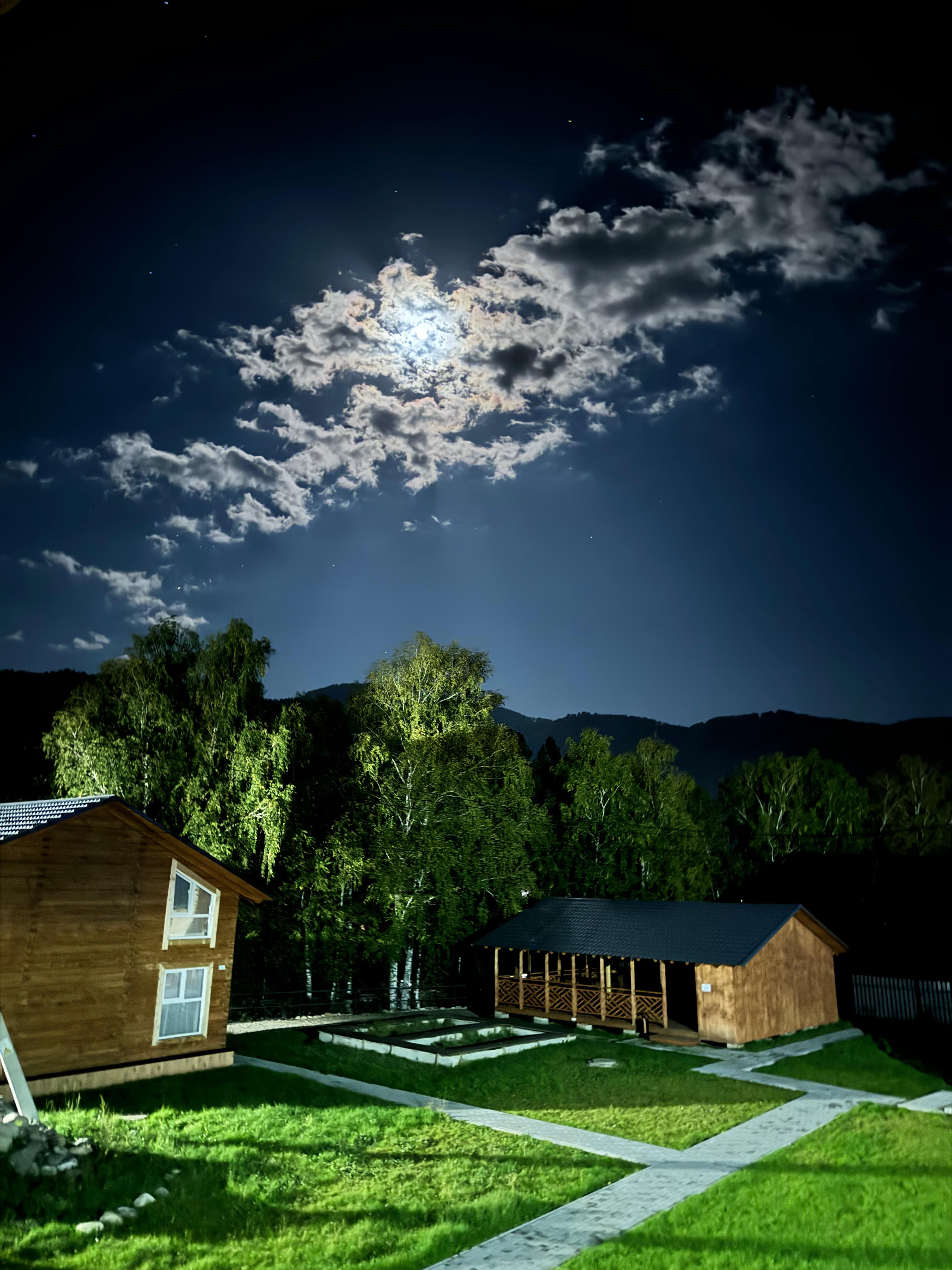 Фото Клубника & Мята