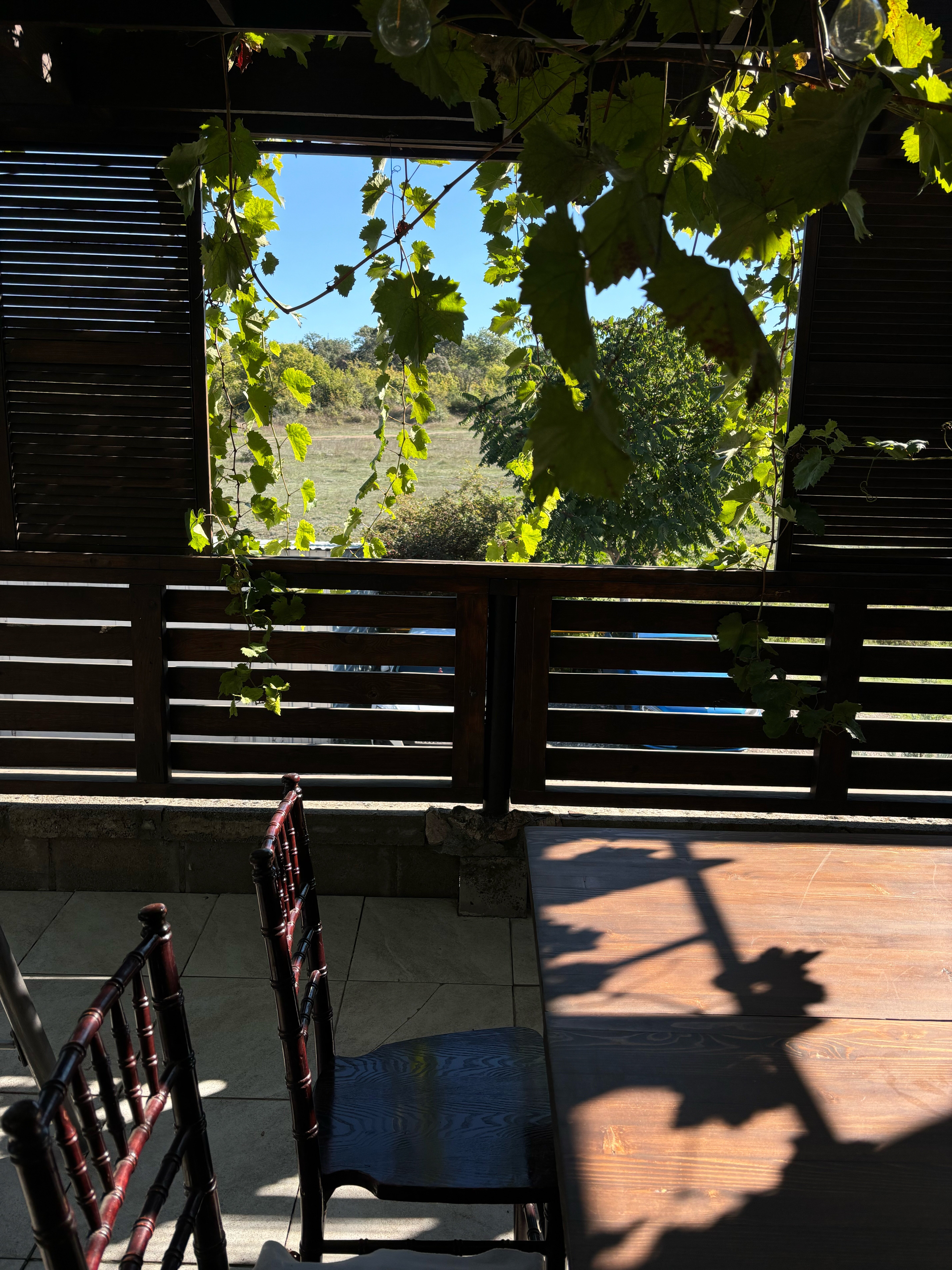 Фото Шато Бужор