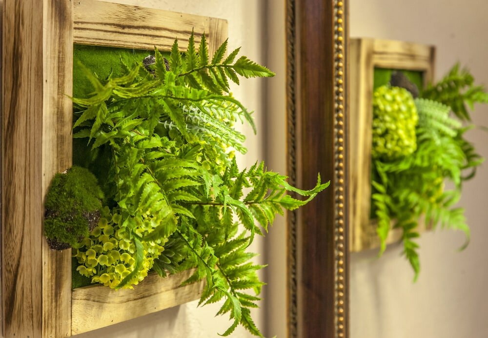 Фото Mountain View Lodge