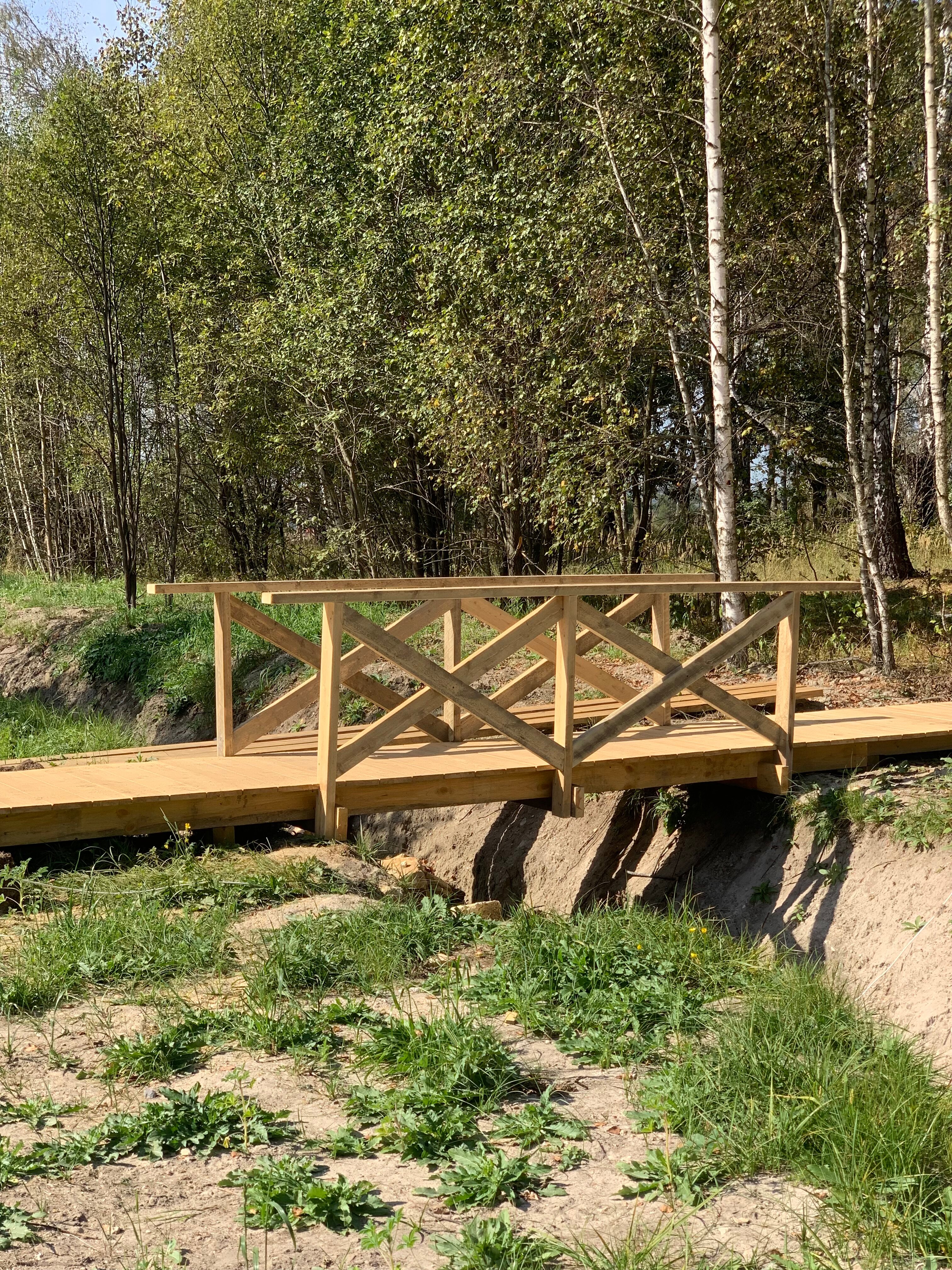 Фото Козы да Березы