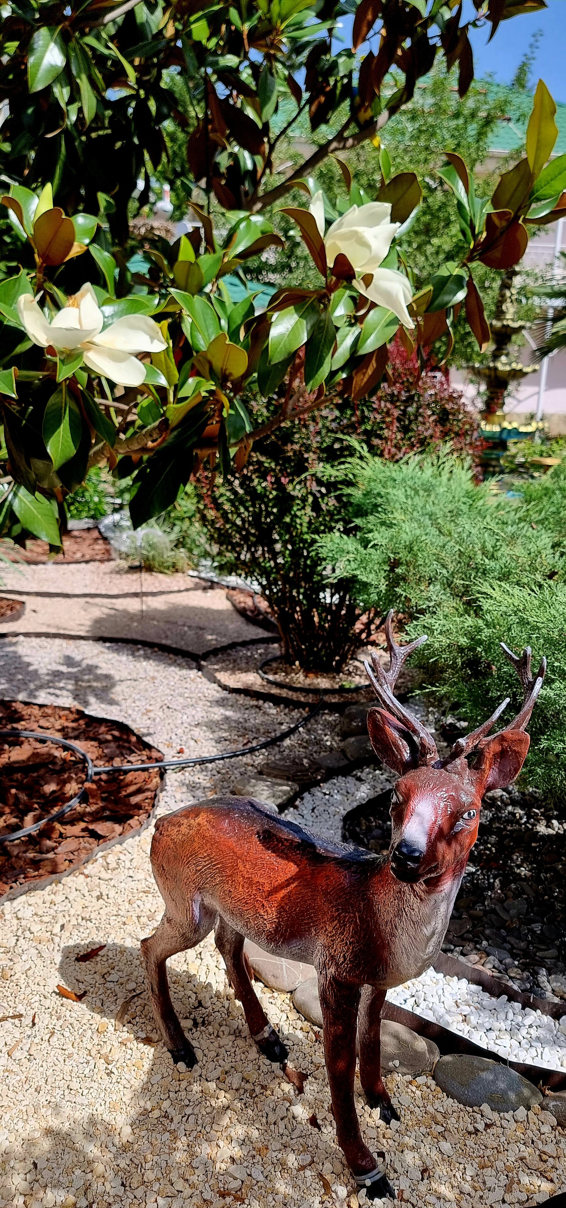 Фото Пансионат Орхидея