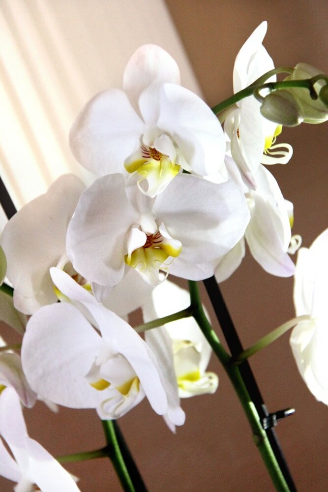 Фото Regit Hotel