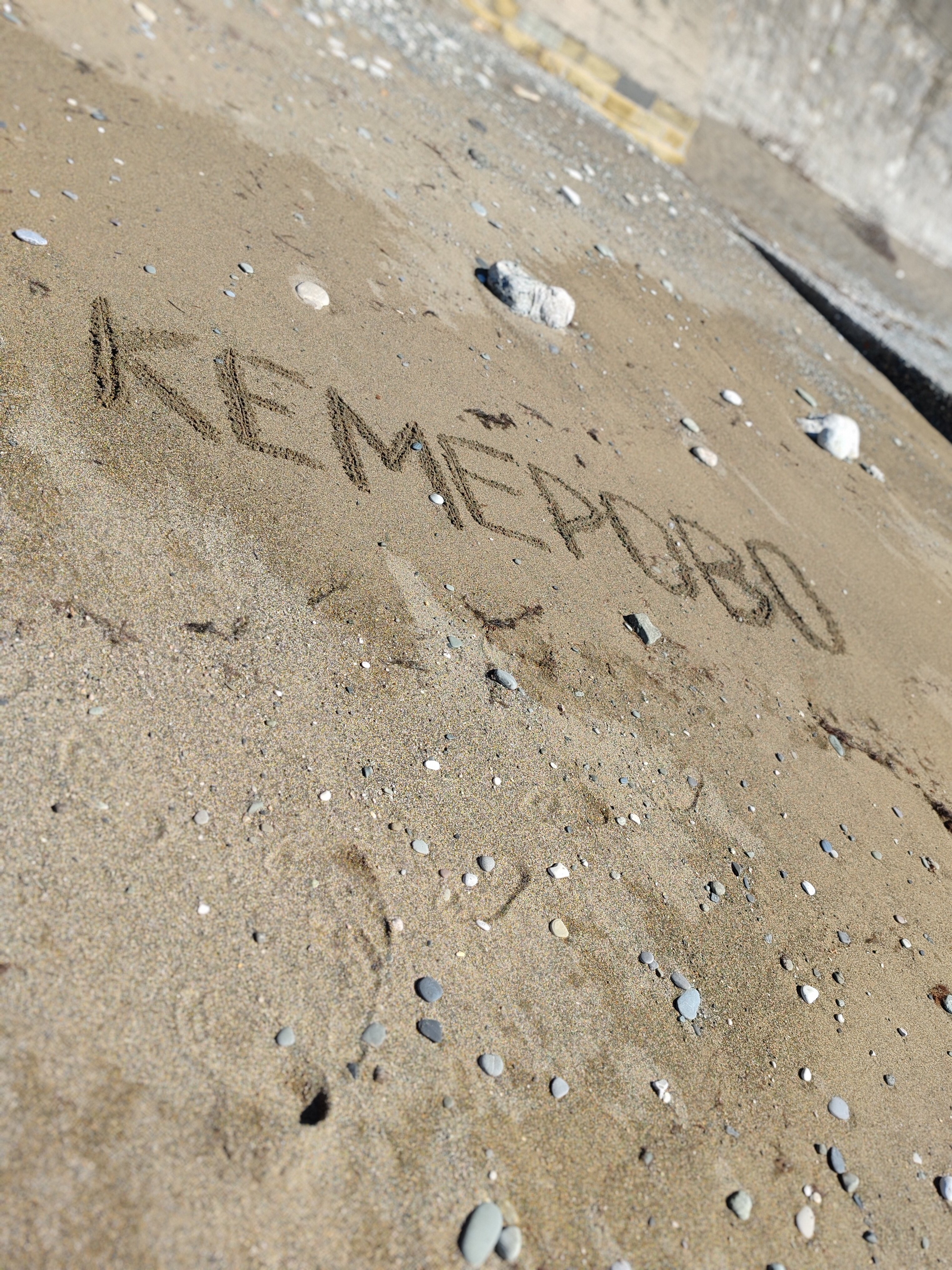 Фото Гостевой дом Ника