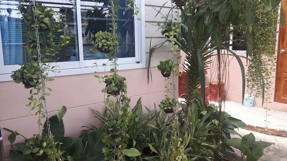 Фото Canaan Guesthouse