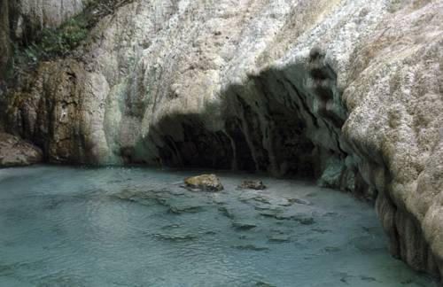 Фото Hotel President