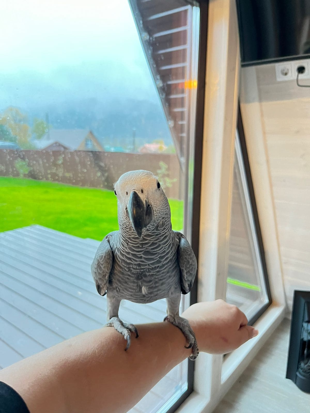 Фото A-Frame Синильга