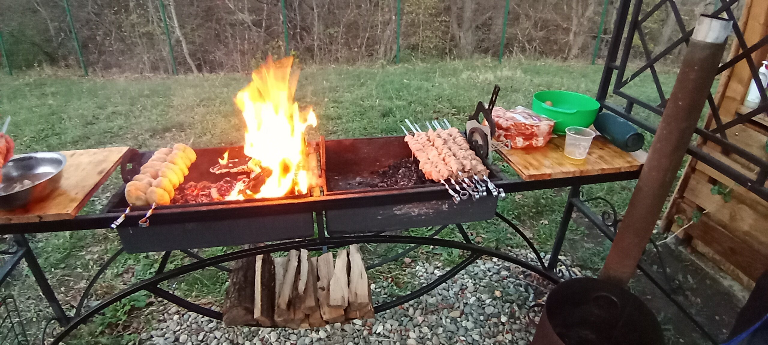 Фото Стрижи