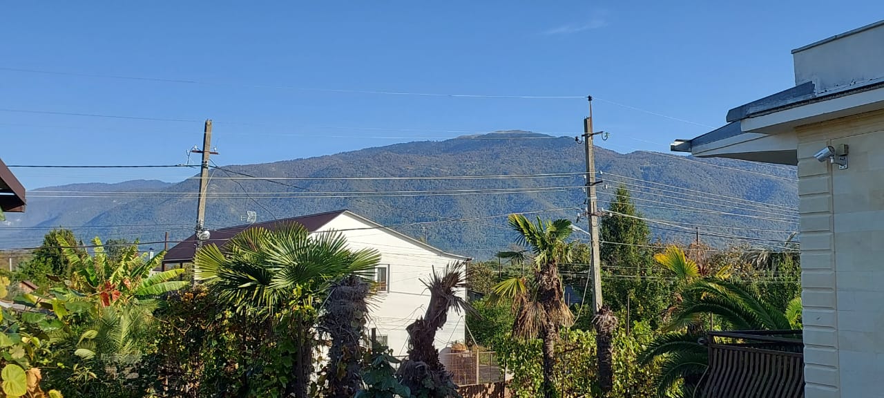 Фото 237534356219