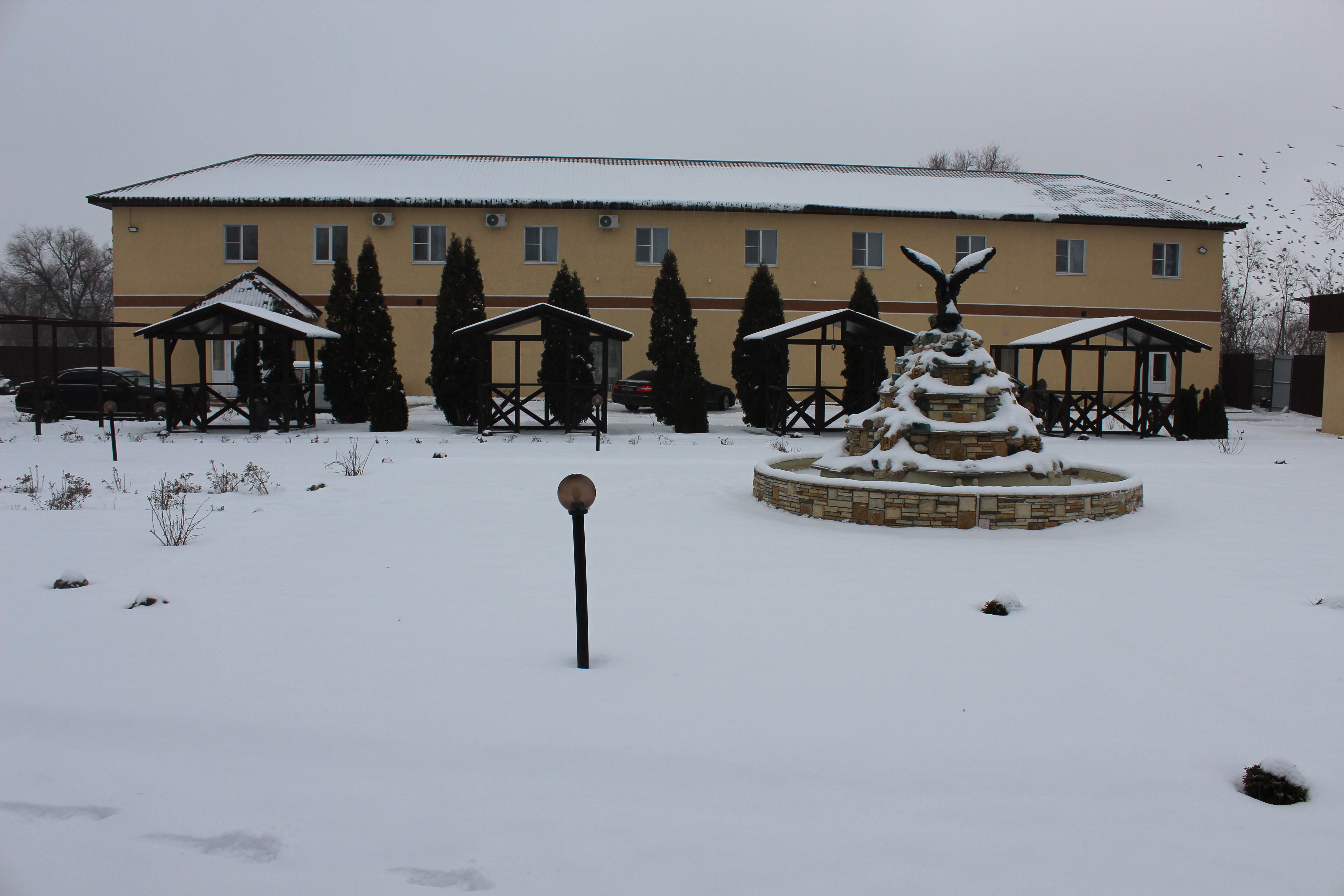 Фото Александрия