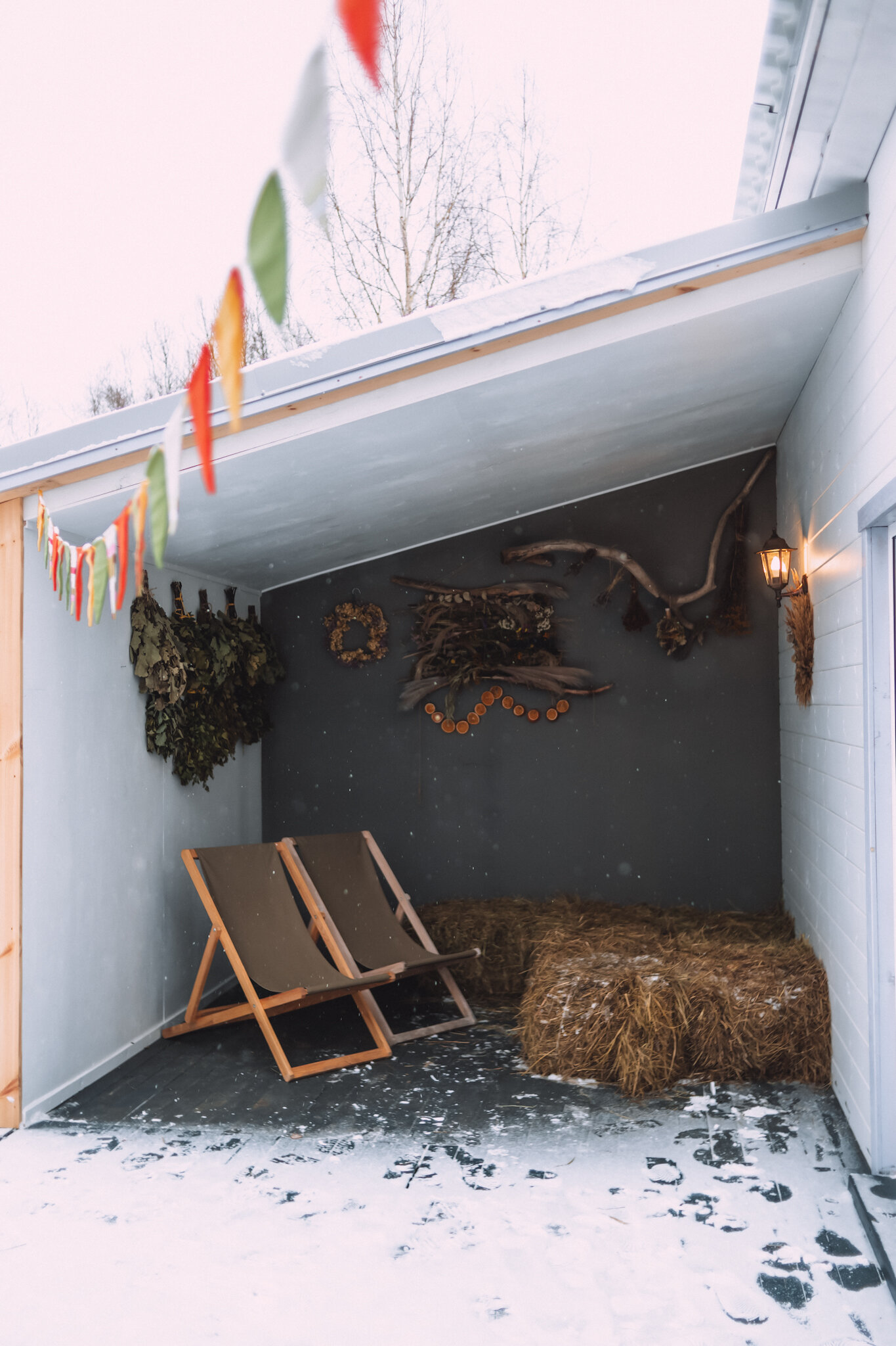 Фото Лес и луга