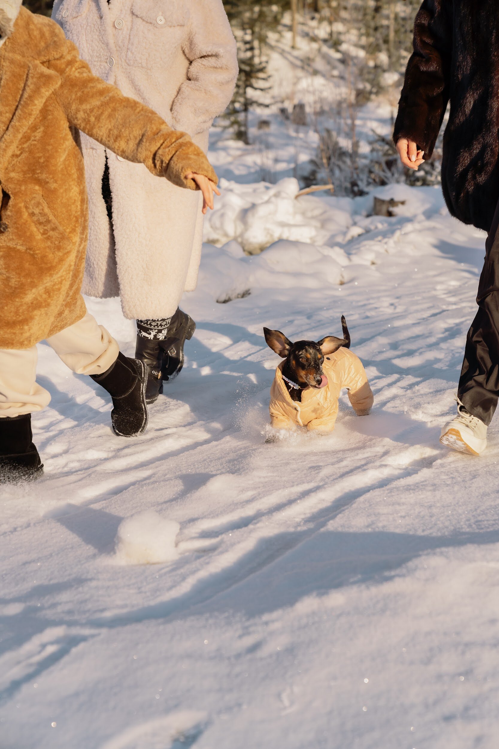 Фото ШерХан