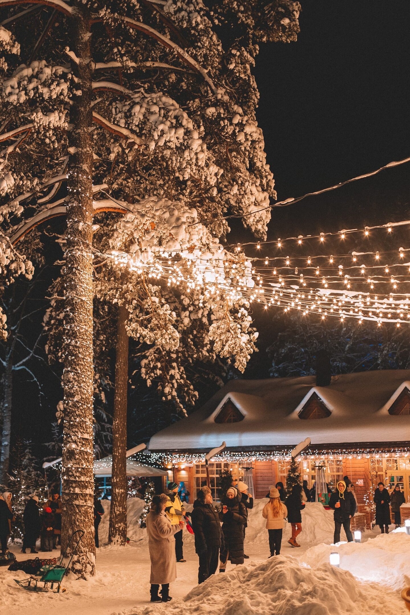 Фото Царство-Королевство