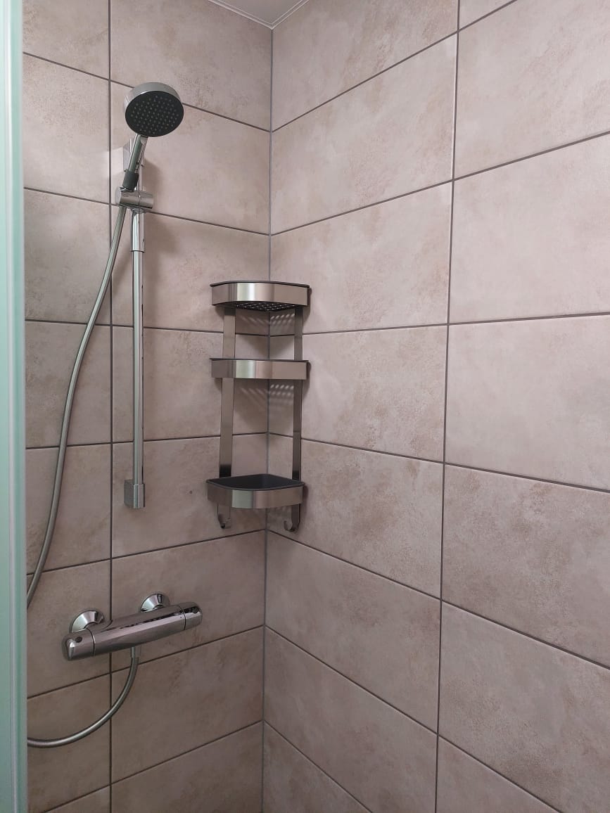 Фото Таволга