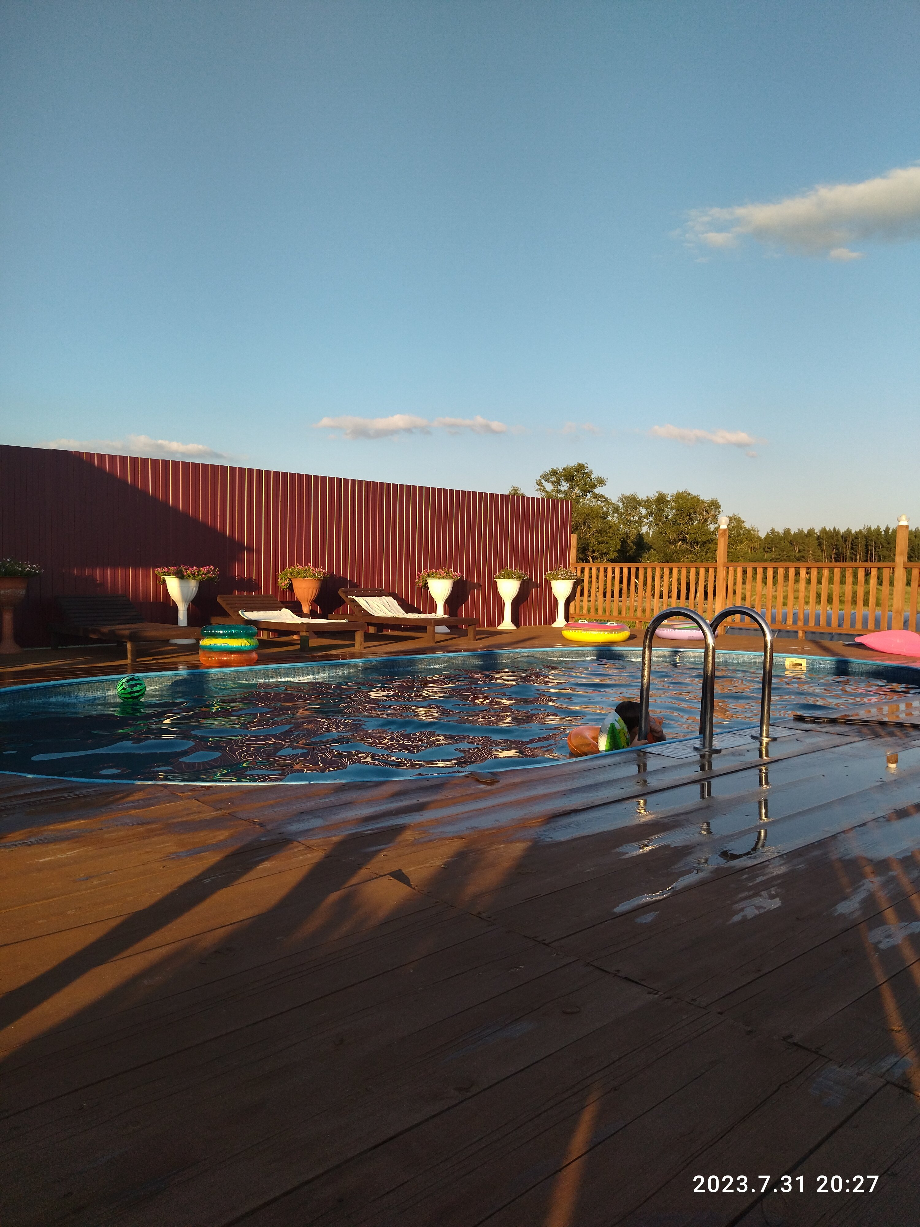 Фото Фламинго