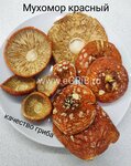 Mushroom and Hedgehog (Tashkent Region, Zangiata District, Nayman mahalla fuqarolar yigʻini, Mustaqillik koʻchasi, 175), mushroom growers and suppliers