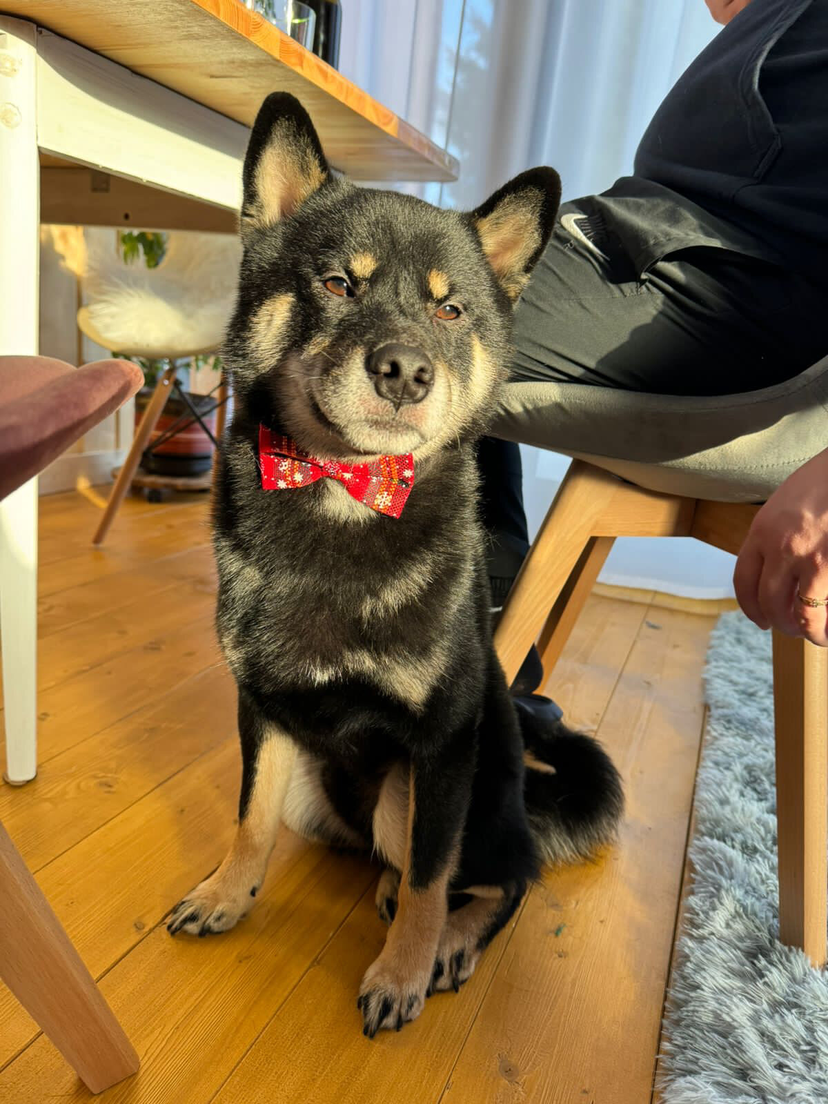 Фото Вилла Лаванда