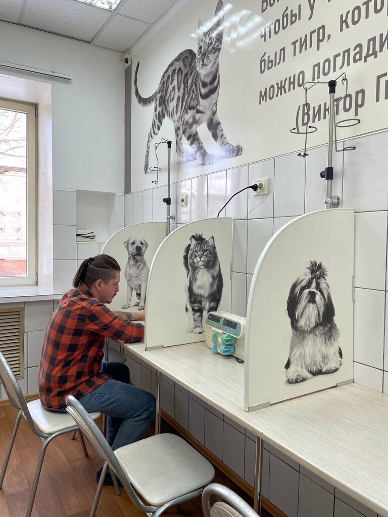 Veterinary clinic Mosvetstation, Moscow, photo