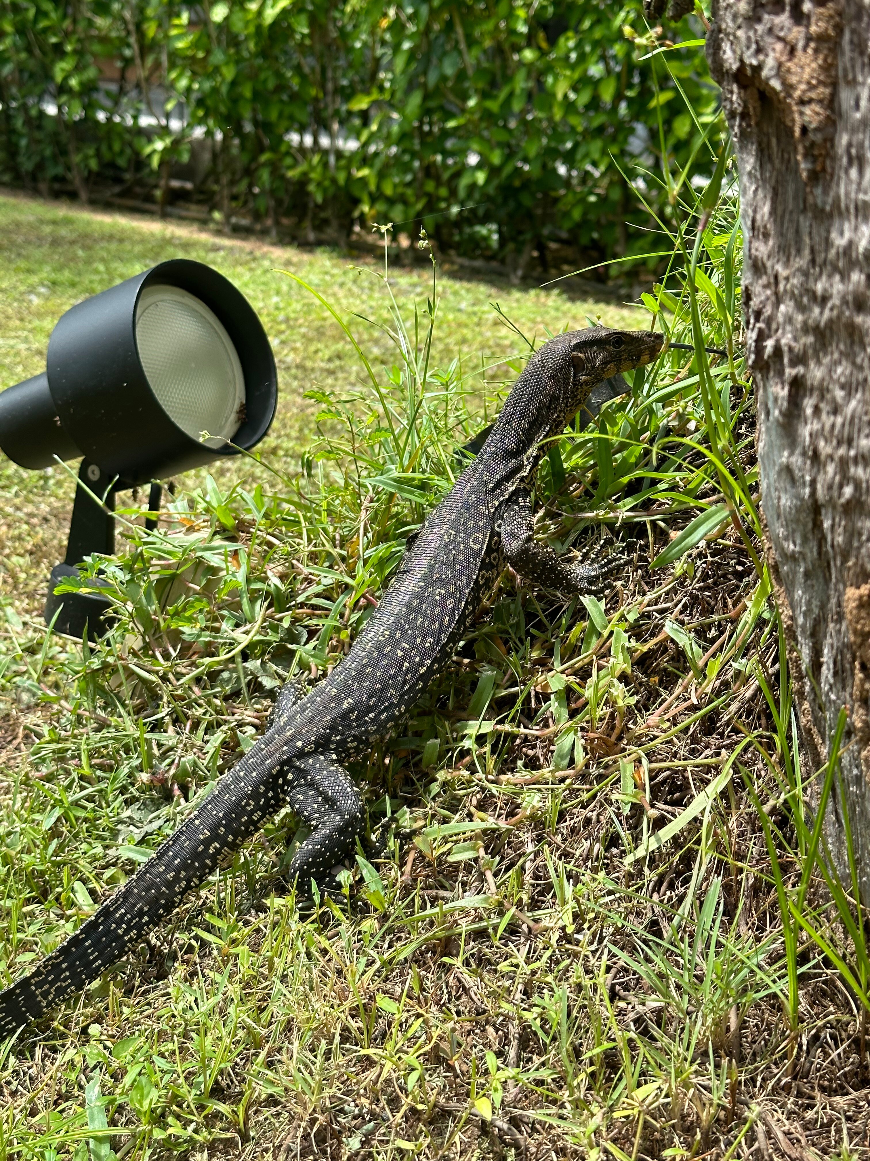 Фото X10 Khaolak Resort