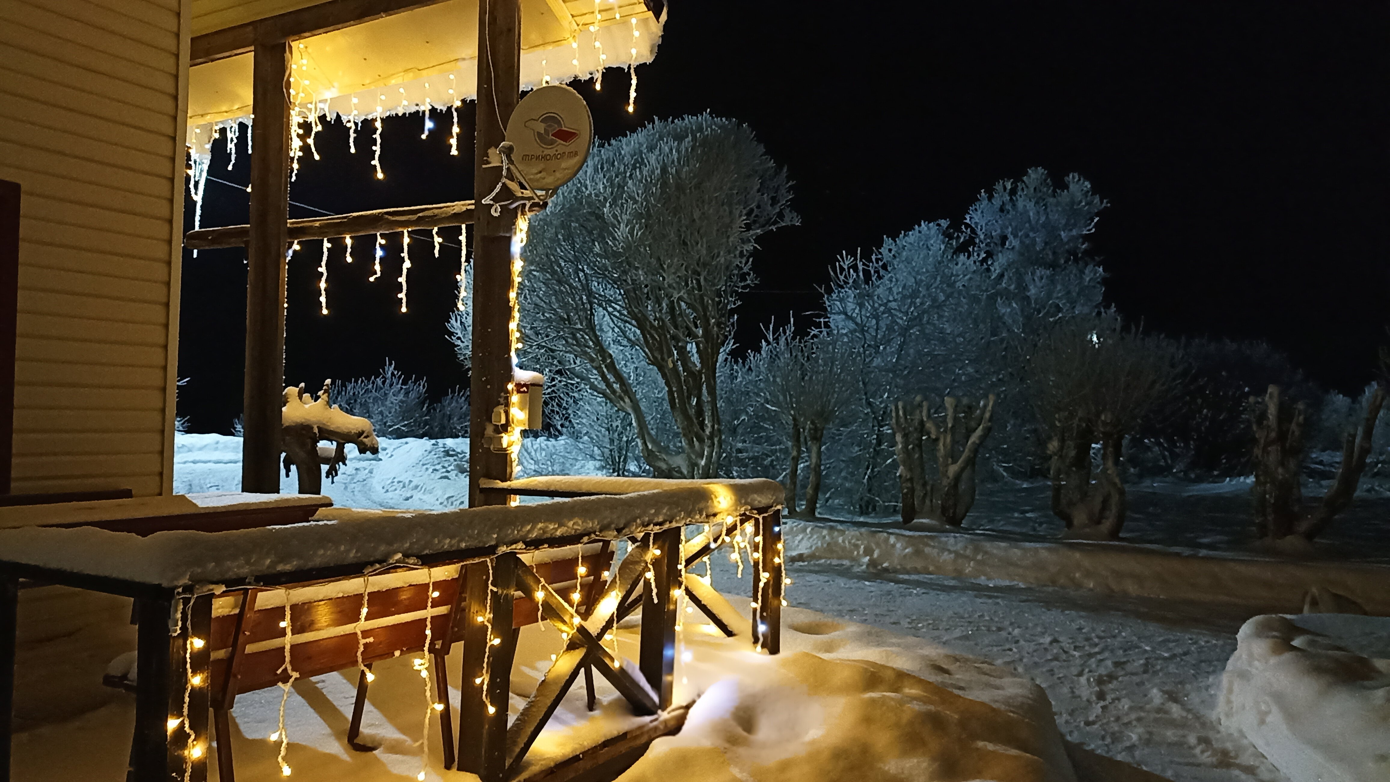 Фото Сепян Коди