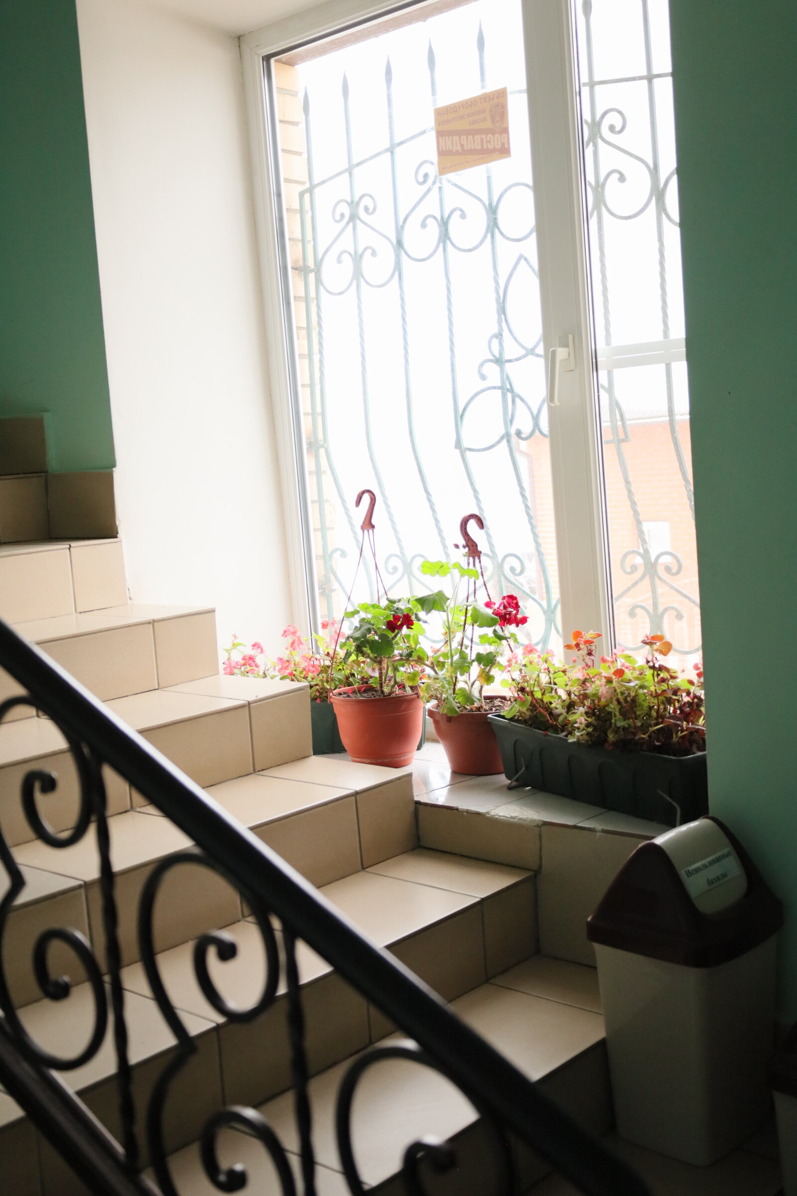 Фото Ландыш