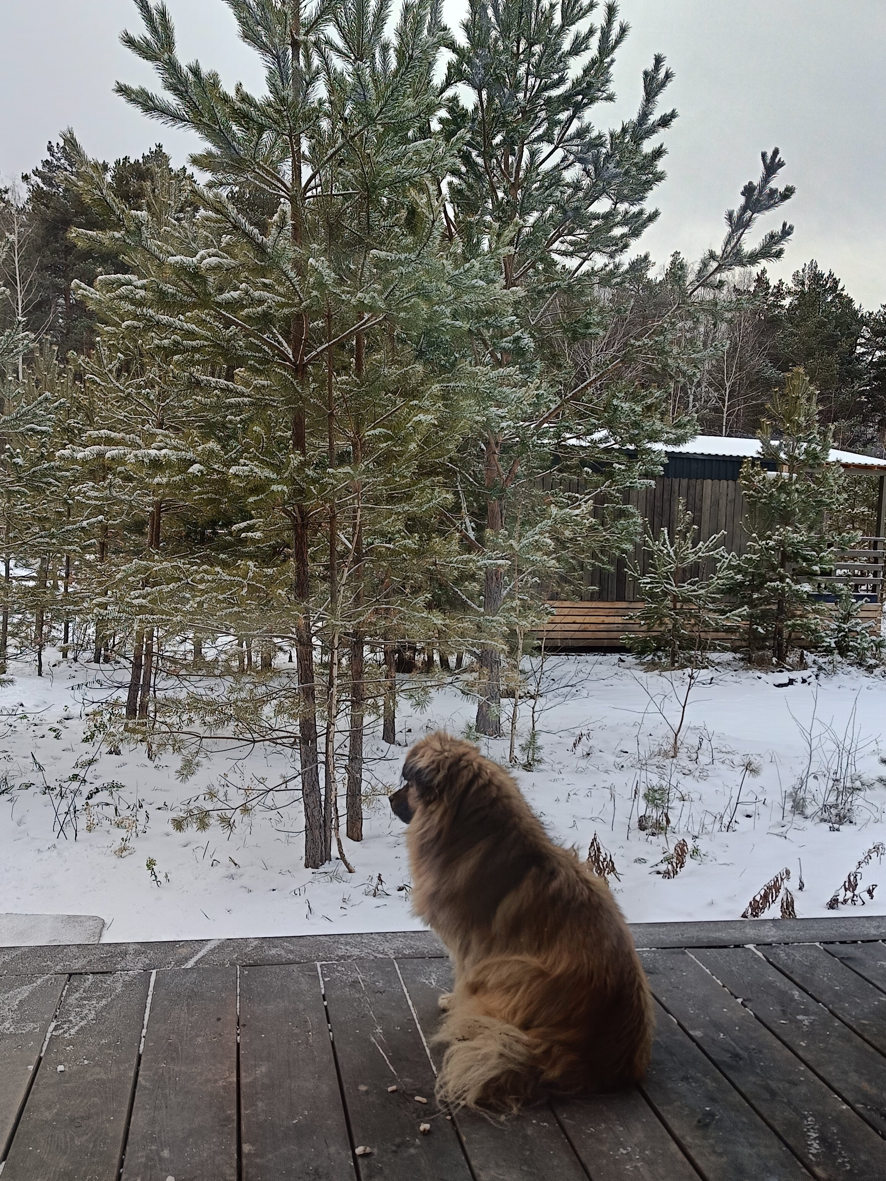 Фото БелкиПарк