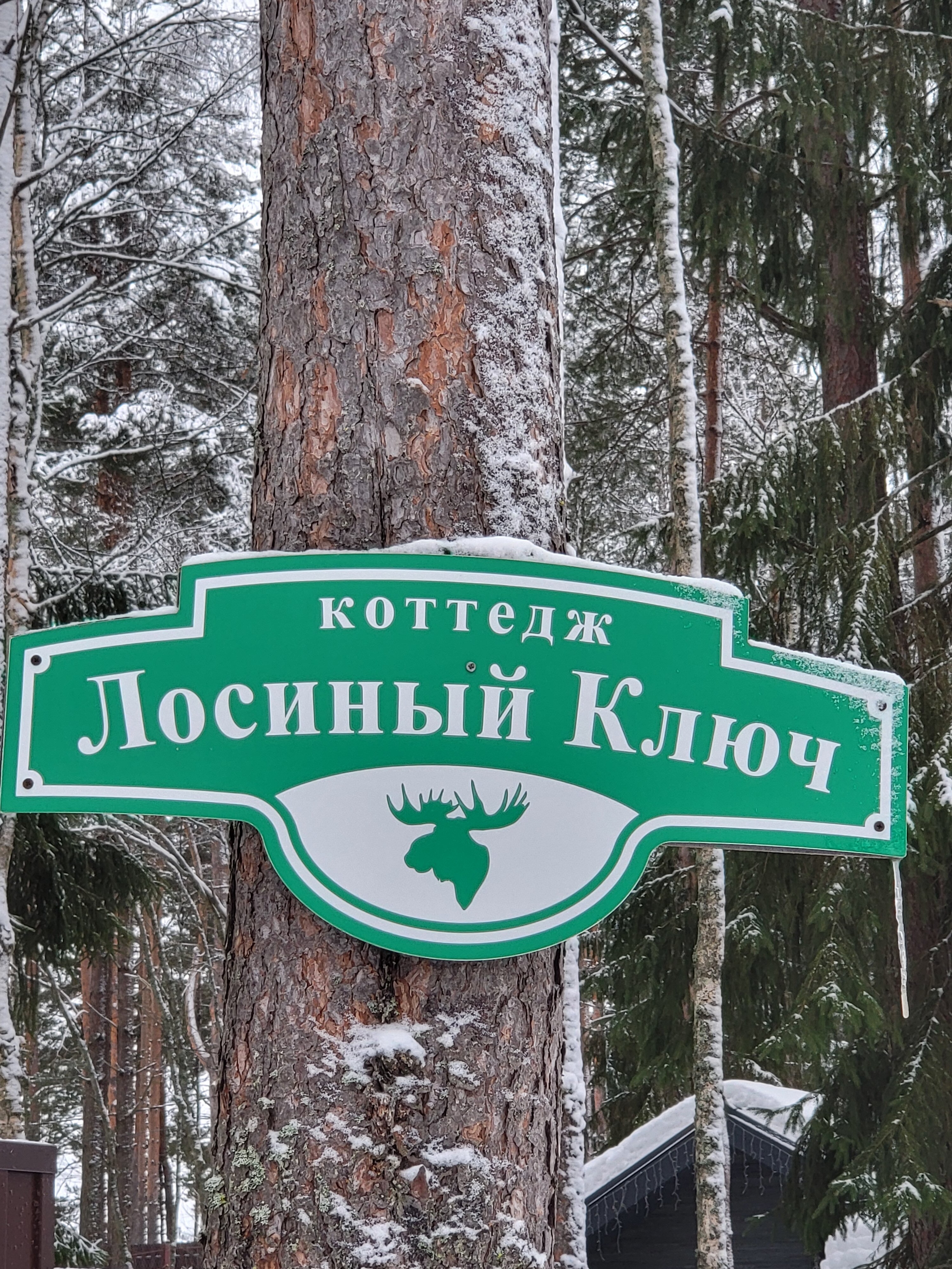 Фото Лосиный ключ