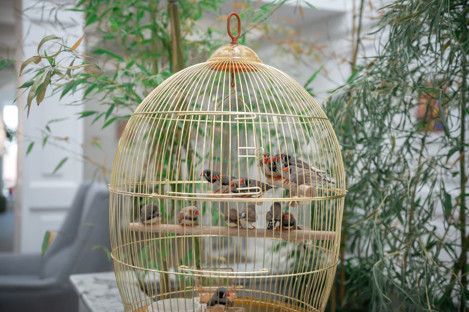 Фото Hatti Apart Hotel