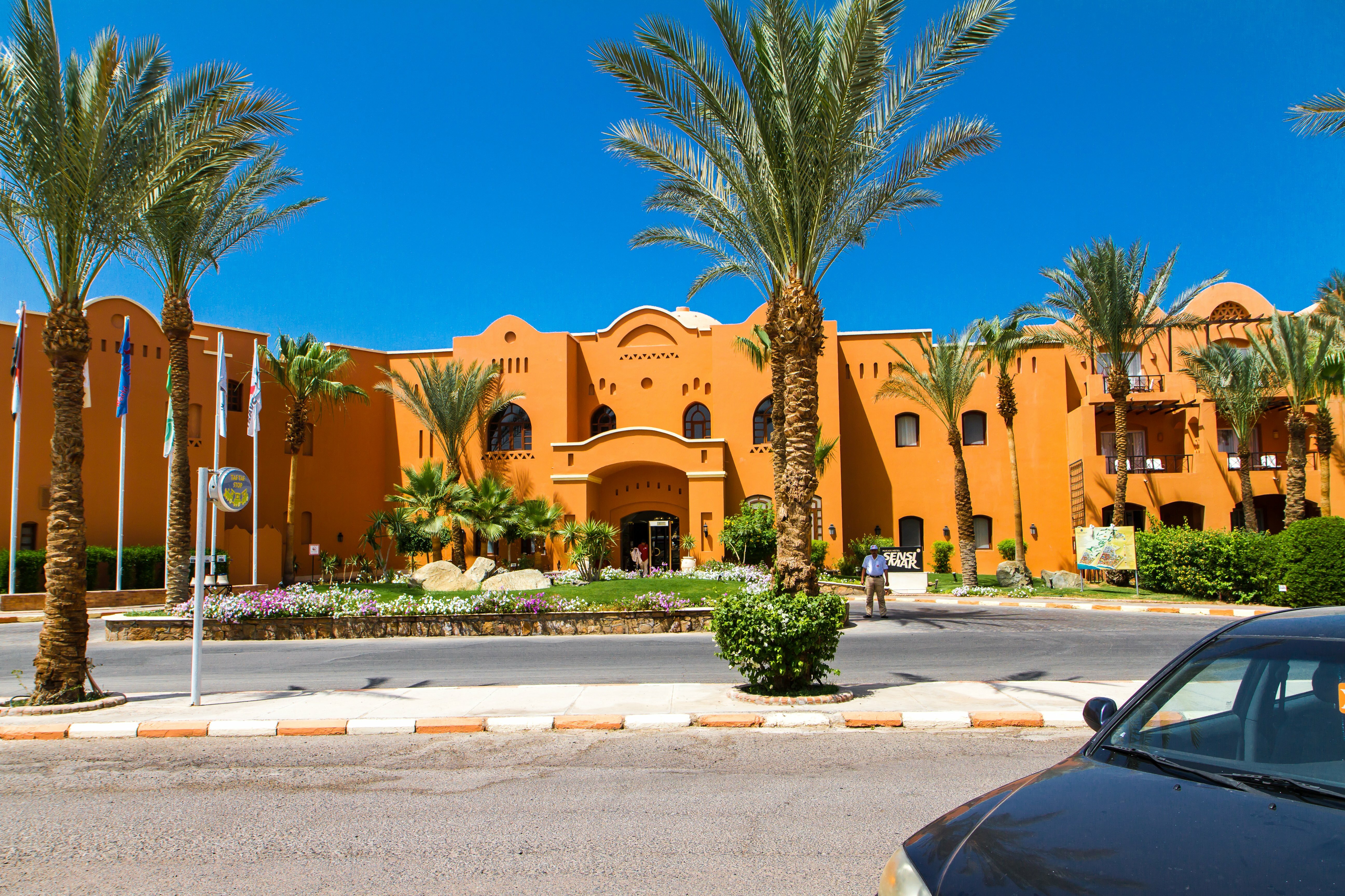 Фото Джаз Макади Сарайя Палмс