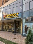 Prorost (ulitsa Larina, 45с1), gardening shop