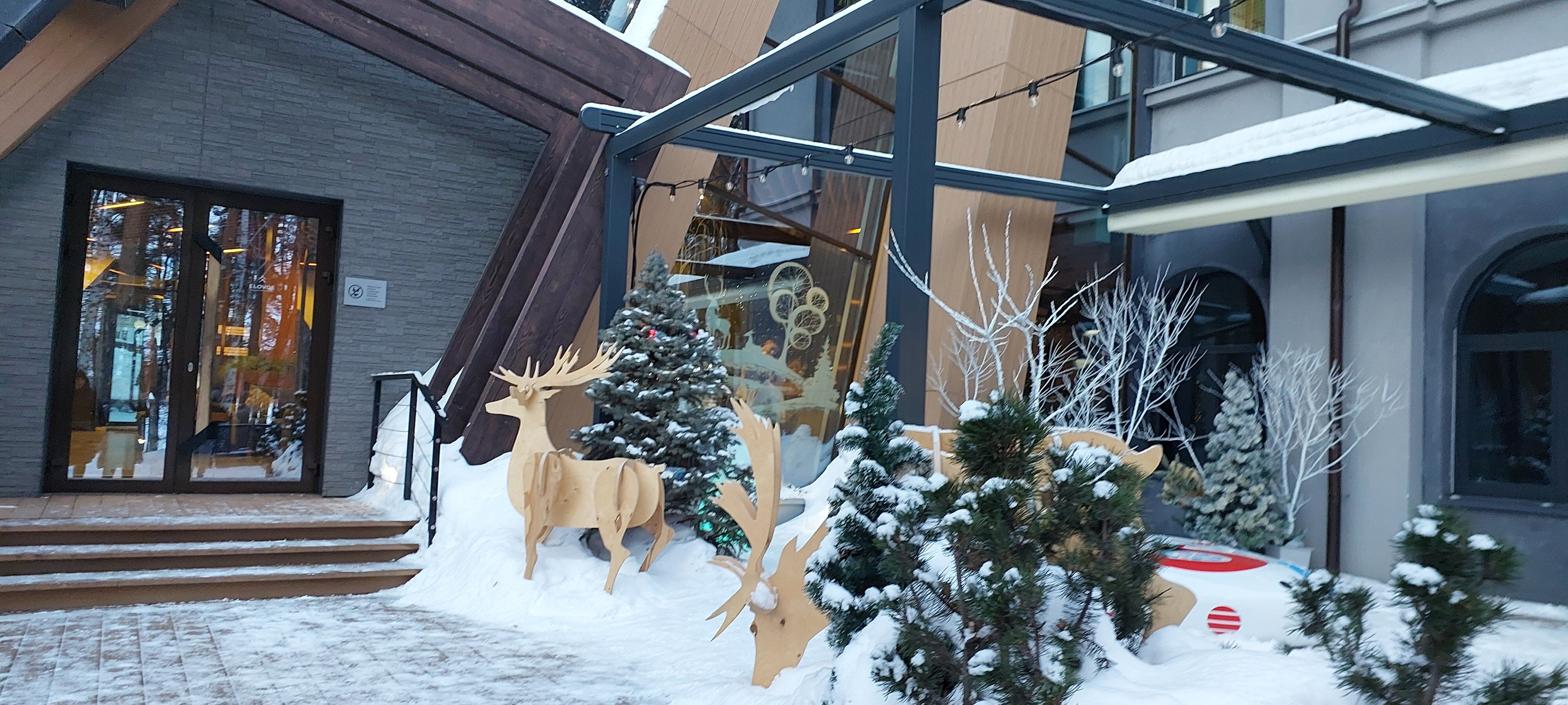 Фото 4 Апельсина