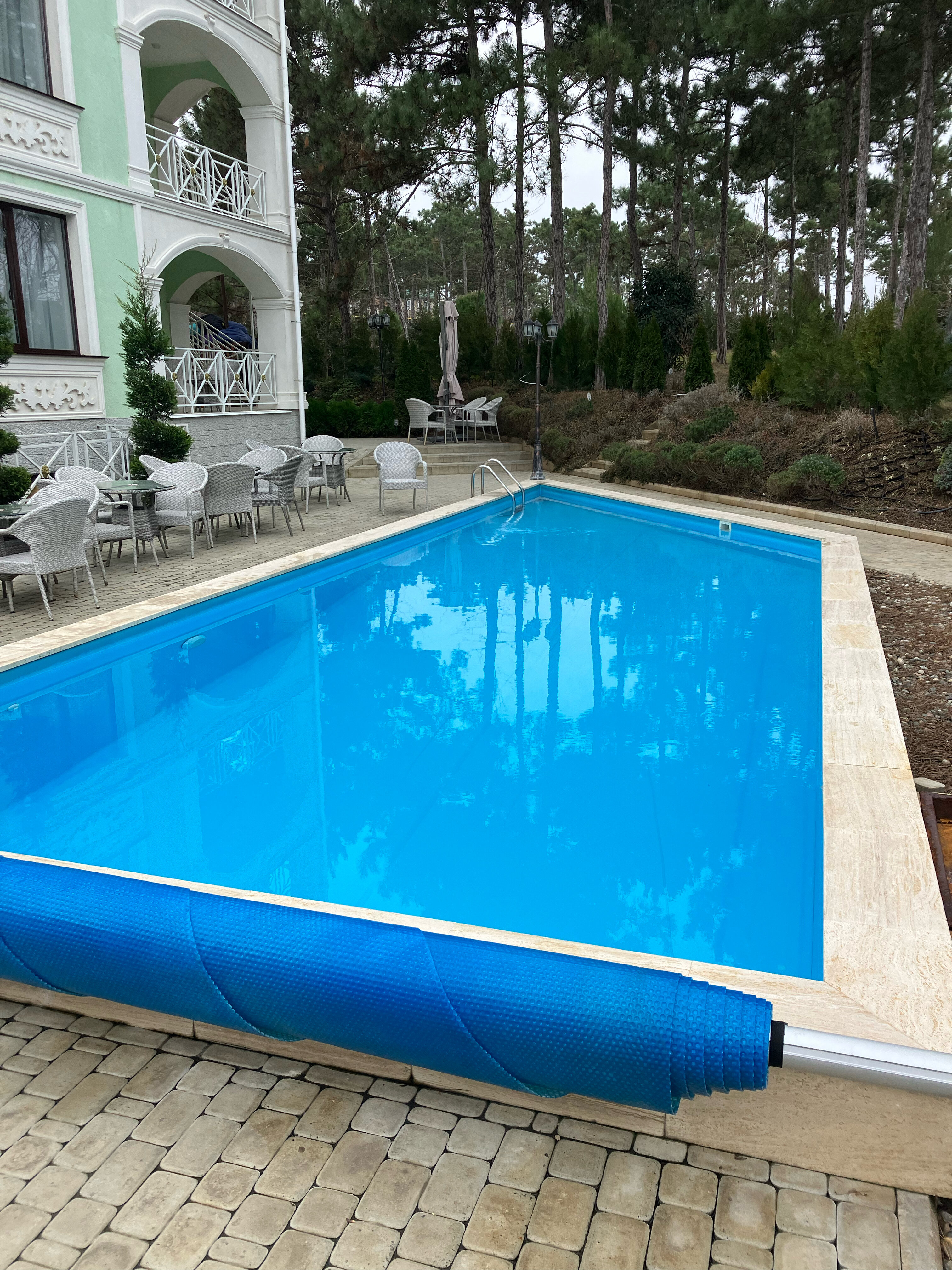 Фото Розмарин