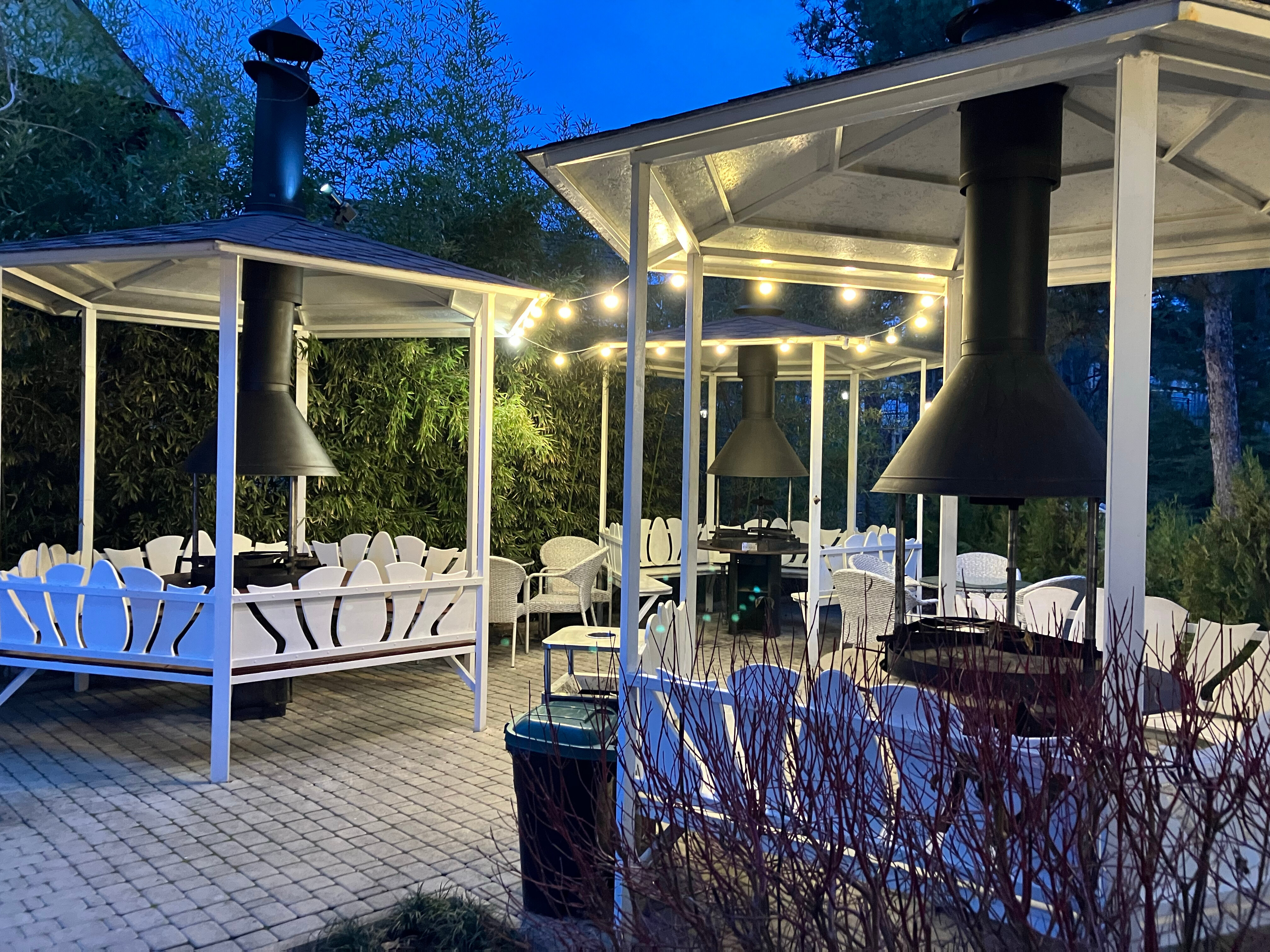 Фото Розмарин